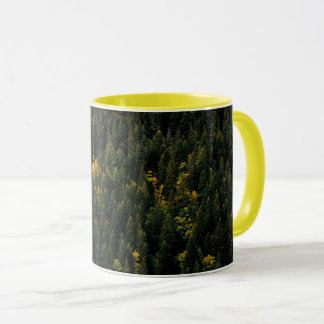 Tasse d'automne de forêt de pins aérienne
