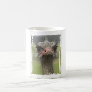 Tasse d'autruche