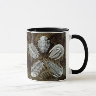Tasse de 5 Trilobites