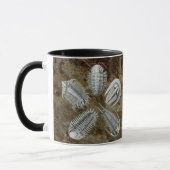 Tasse de 5 Trilobites (Gauche)