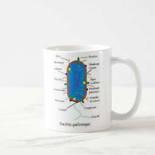 Tasse de bactéries