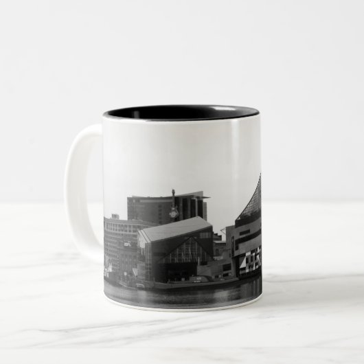 Tasse de Baltimore (Devant gauche)