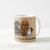 Tasse de bande de teckel (Devant droit)