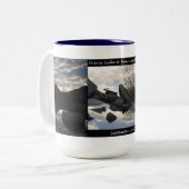 Tasse de bassin de lacs bear de lac Marie (Devant gauche)