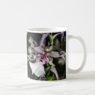 Tasse de Beallara d'orchidée