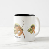 Tasse de bernard l'ermite (Devant droit)