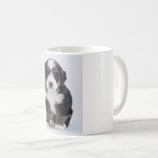 Tasse de Bernedoodle (Devant droit)
