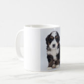 Tasse de Bernedoodle (Devant gauche)