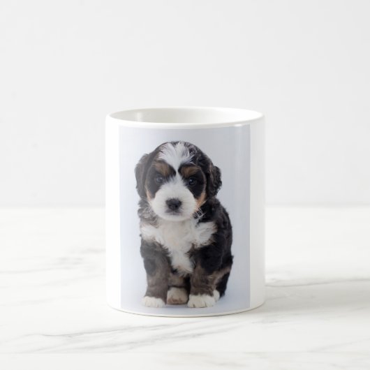 Tasse de Bernedoodle (Centre)
