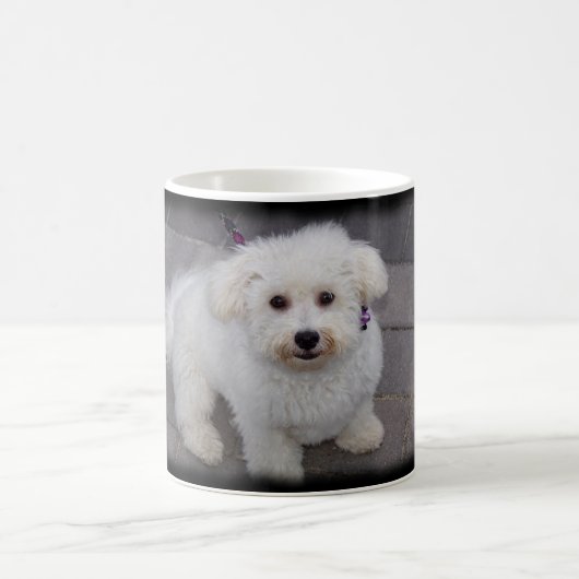 tasse de bichon (Centre)