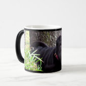 Tasse de boogie (Devant gauche)