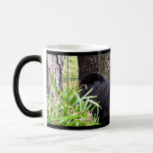 Tasse de boogie (Gauche)