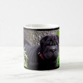 Tasse de boogie (Centre)