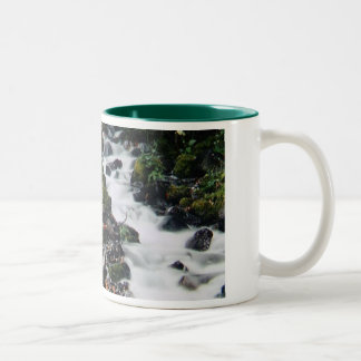 Tasse de brume d'automne