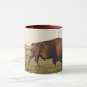 Tasse de Buffalo (Centre)