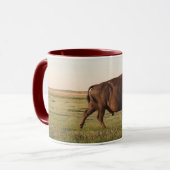 Tasse de Buffalo (Devant gauche)