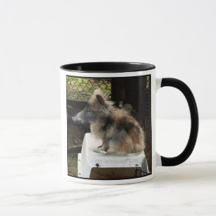 Tasse de Bunnypig