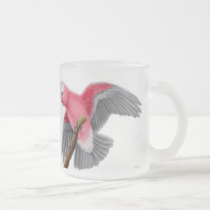 Tasse de cacatoès de Galah