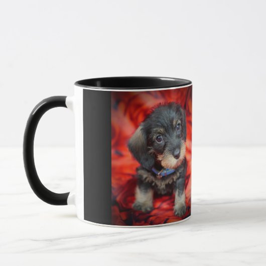 tasse de café à poils durs de chiot de teckel (Gauche)