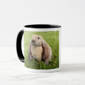 Tasse de café anglaise de lapin de Lop (Devant gauche)
