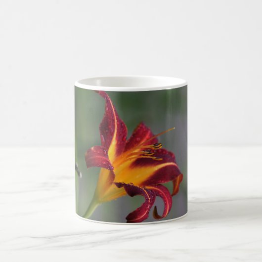 tasse de café avec le lis rouge et jaune (Centre)