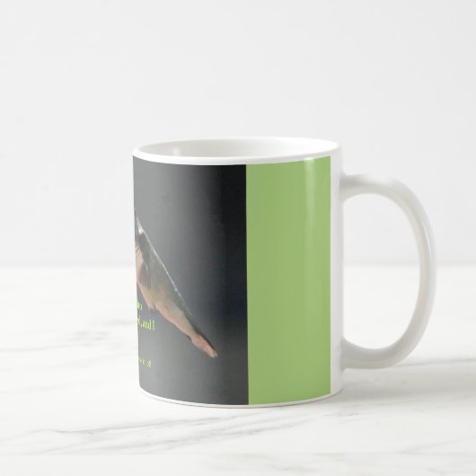 tasse de café avec le repos de colibri… (Droite)
