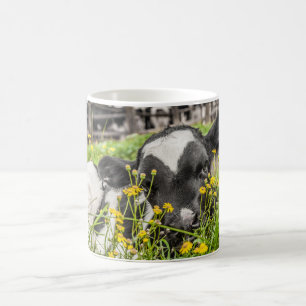 Tasse de café avec le veau