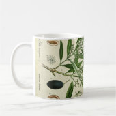 Tasse de café botanique d'illustration de plante (Gauche)