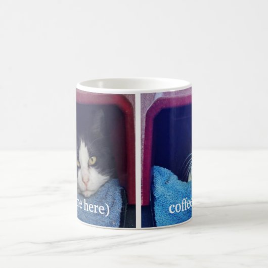 Tasse de café criarde gauchère customisée de chat (Centre)