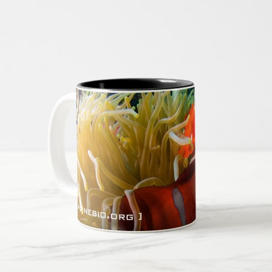 Tasse de café d'Anemonefish (Devant gauche)