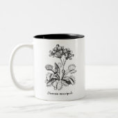 Tasse de café d'attrape-mouche de Vénus (Gauche)