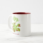 Tasse de café d'attrape-mouche de Vénus (Devant gauche)