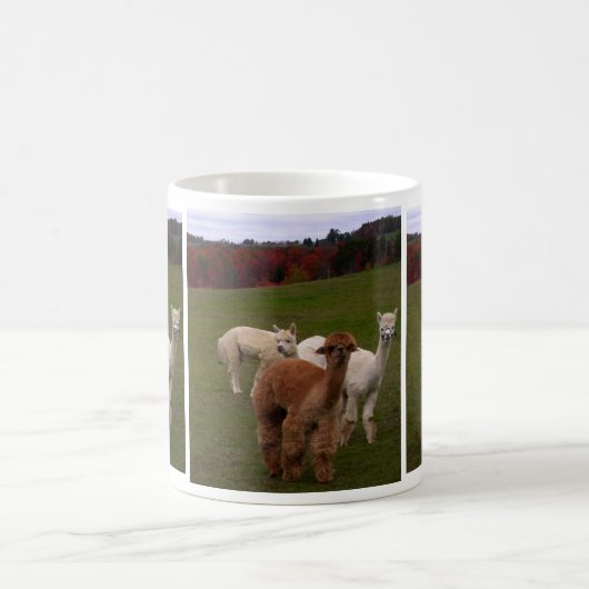 Tasse de café de 3 alpaga (Centre)