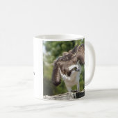 Tasse de café de balbuzard (Devant droit)