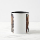 Tasse de café de beagle de sommeil (Centre)