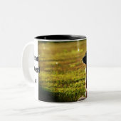 Tasse de café de berger allemand (Devant gauche)