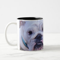 Tasse de café de bouledogue