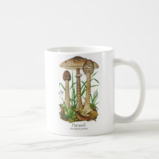 Tasse de café de champignon de parasol (Droite)