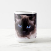 Tasse de café de chat de Ragdoll (Centre)