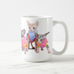 Tasse de café de chatons de Sphynx   GoSphynx.com