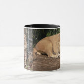 Tasse de café de chats (Centre)