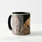 Tasse de café de chats (Devant gauche)