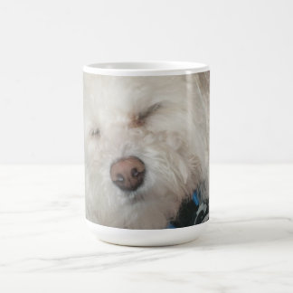Tasse de café de chien