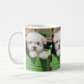 Tasse de café de chiot de Maltipoo (Gauche)