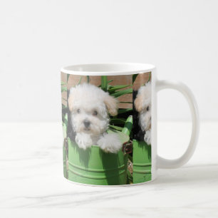 Tasse de café de chiot de Maltipoo