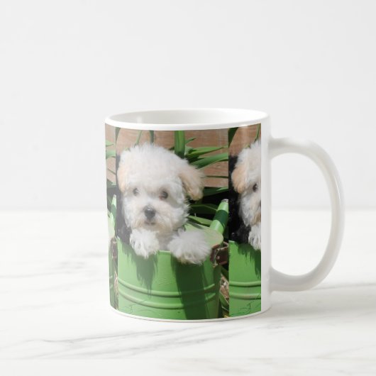 Tasse de café de chiot de Maltipoo (Droite)
