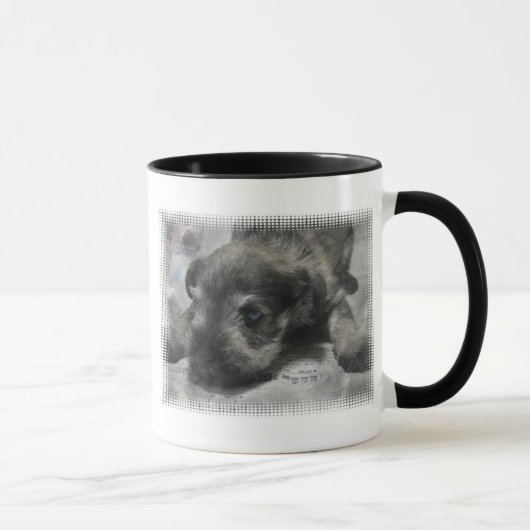 Tasse de café de chiot de Schnauzer (Droite)