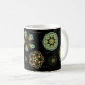 Tasse de café de diatomée de "antiquité" (Devant droit)