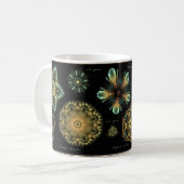 Tasse de café de diatomée de "antiquité" (Devant gauche)
