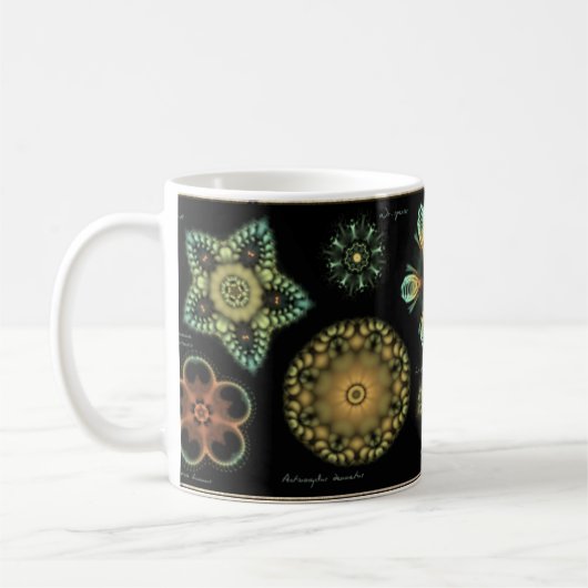Tasse de café de diatomée de "antiquité" (Gauche)